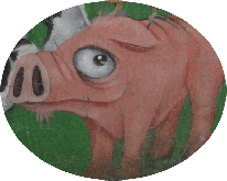 Chene Tied :  cochon